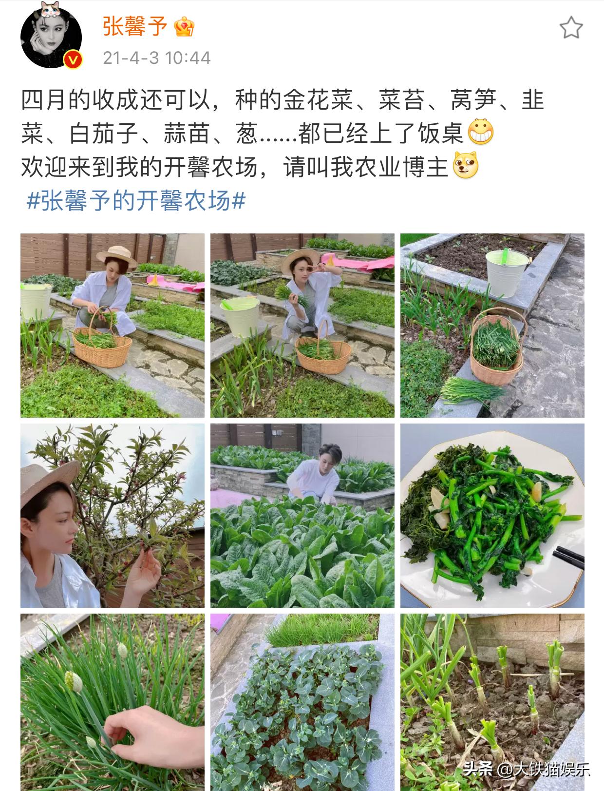 厨艺生涯_生活技能厨艺_厨艺新技能