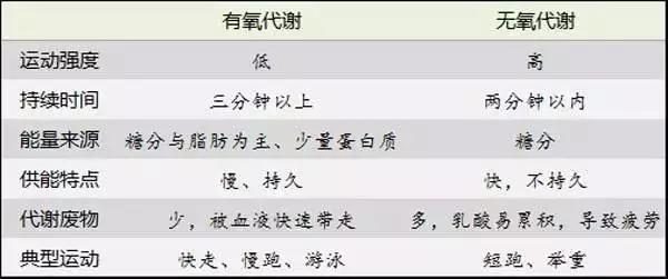 运动含氧量_单独安排有氧运动_氧运动有哪些项目