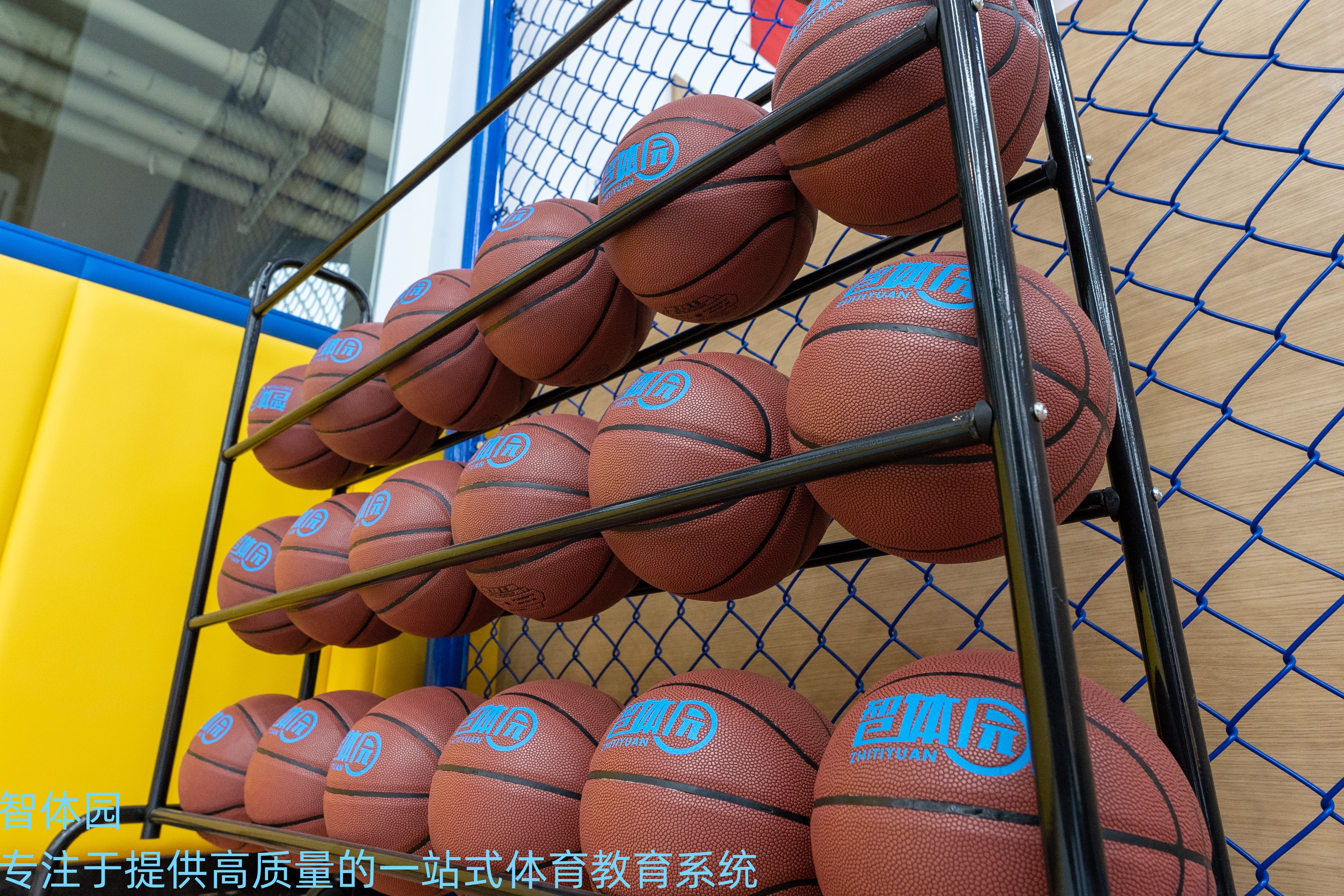 篮球规则是什么意思_篮球规则一年级_规则篮球规则