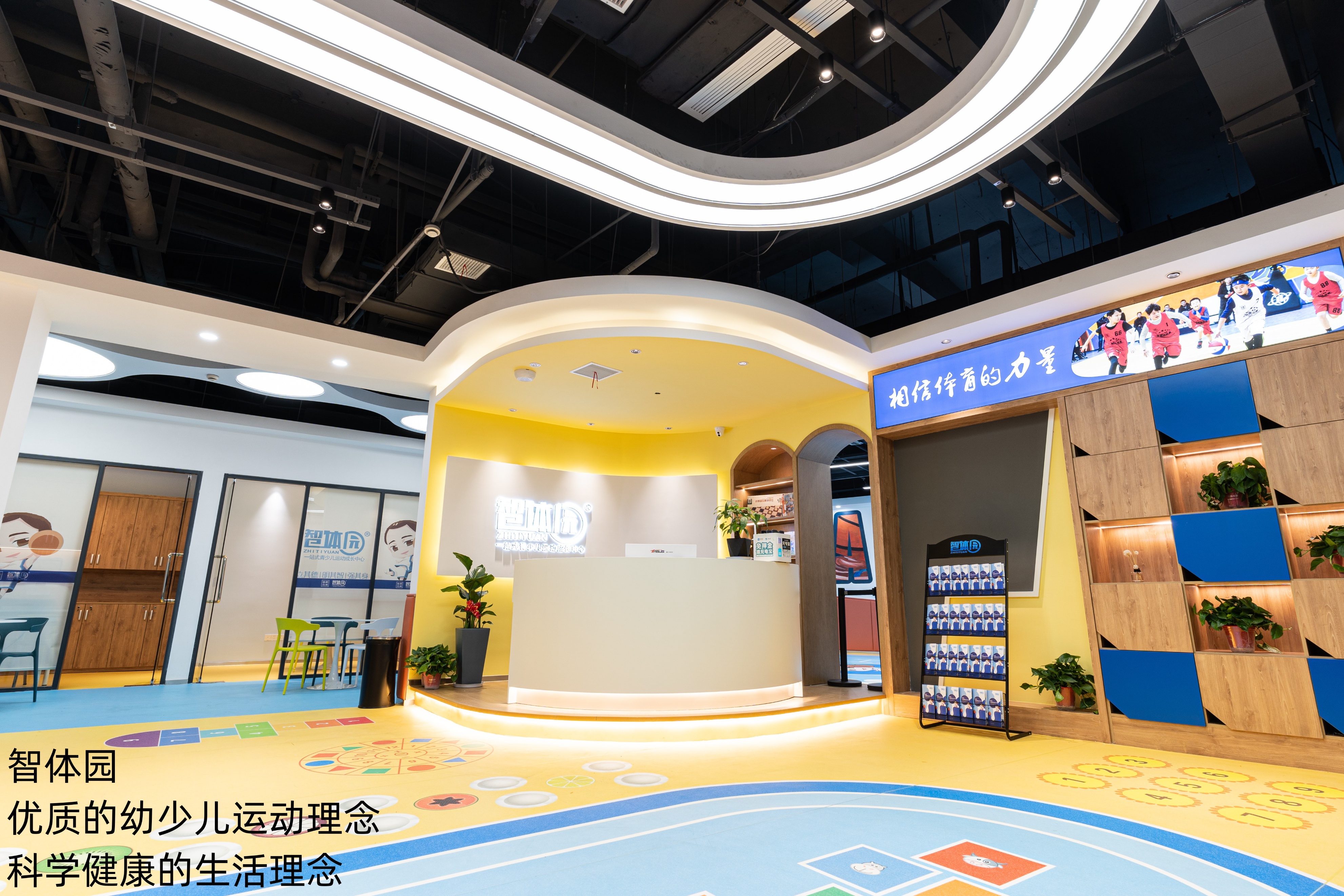 规则篮球规则_篮球规则是什么意思_篮球规则一年级