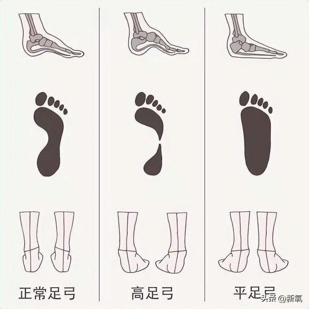 健身房运动鞋撸铁_铁鞋健身效果_运动健身a5分钟塑身伸展运动