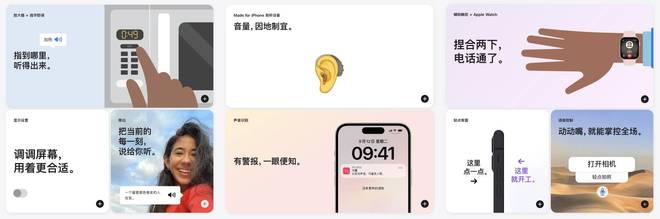 云南省残疾人奥运会游泳冠军_云南省优秀残疾人游泳运动员_云南残疾人游泳冠军
