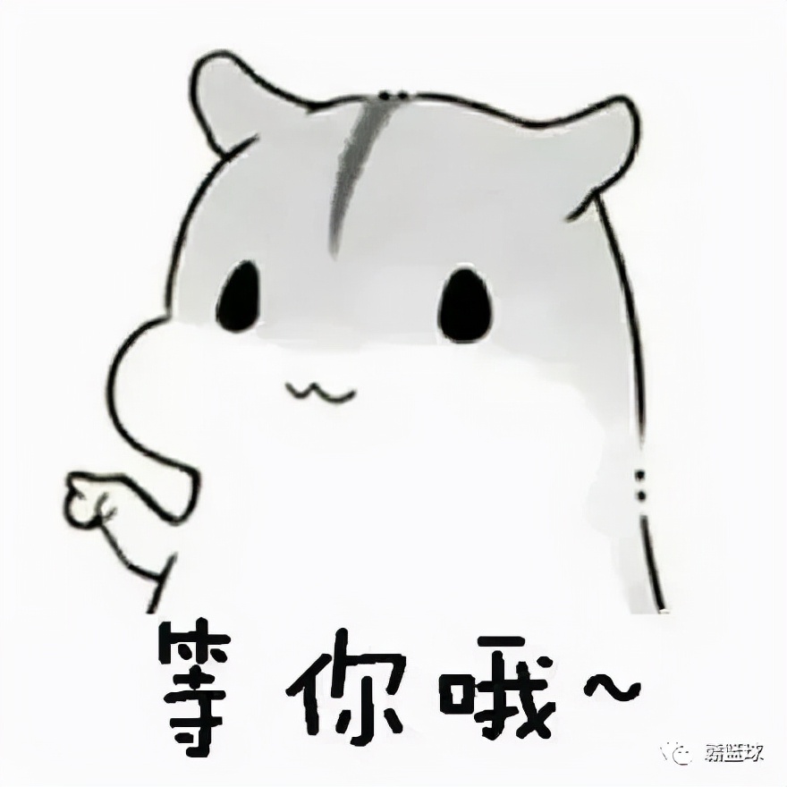 篮球赛选拔赛策划书_篮球选拔赛方案_宜春市篮球选拔赛规则