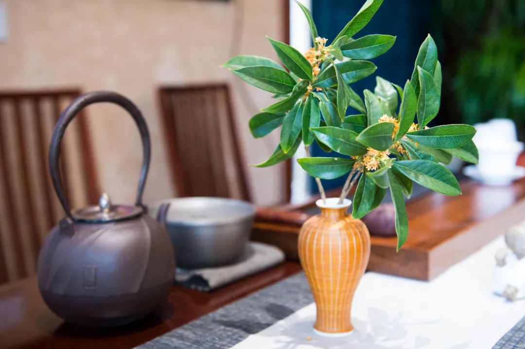 当代的饮茶方式有什么_当代茶生活方式_当代茶饮方式